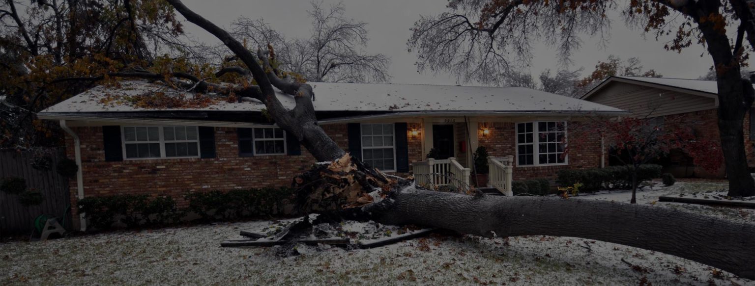 Next Level Tree Services Inc photo 7