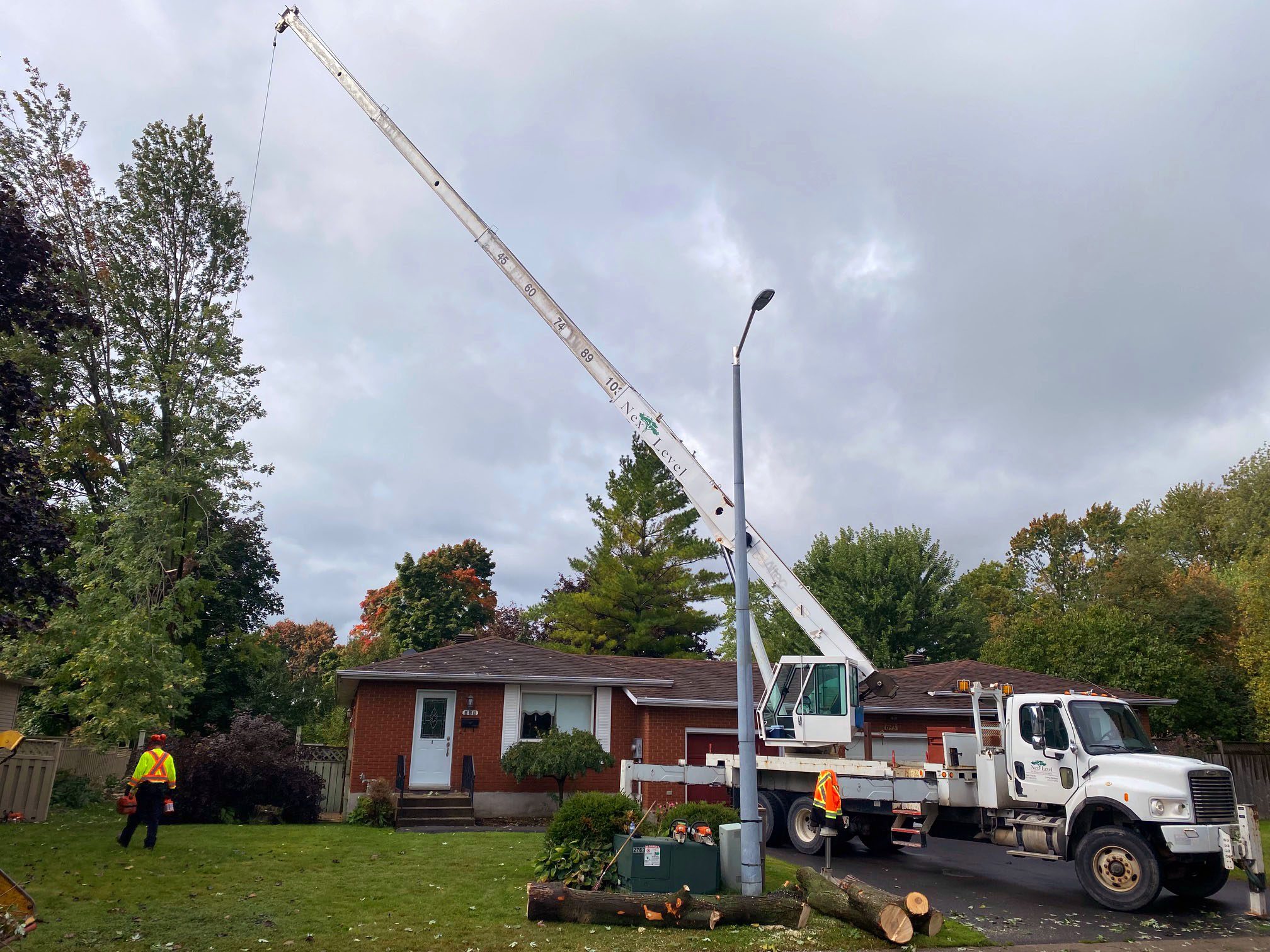 Next Level Tree Services Ottawa emergency tree removal and tree branch removal services in Ottawa