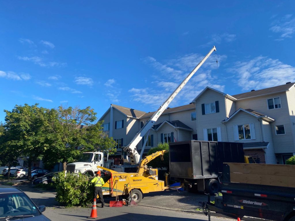 Next Level Tree Services Ottawa expert residential backyard tree removal using telescopic crane truck