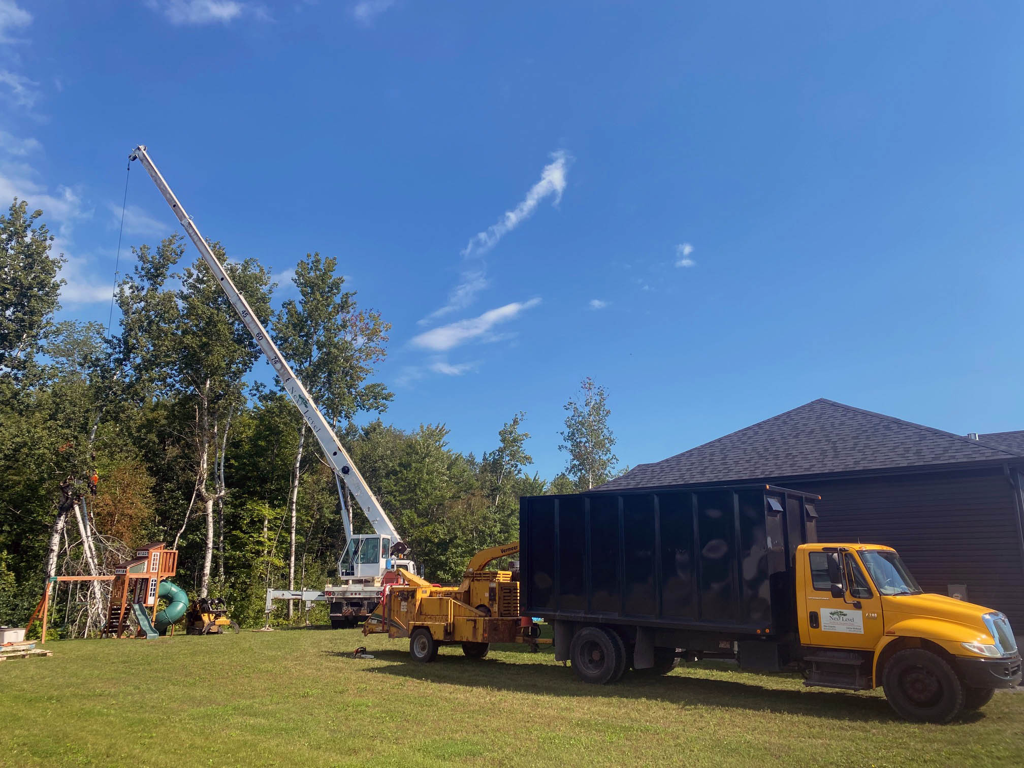 Next Level Tree Services Ottawa backyard residential tree removal using crane truck