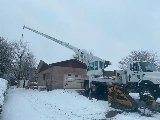 Next Level Tree Services Ottawa residential backyard tree services with crane truck