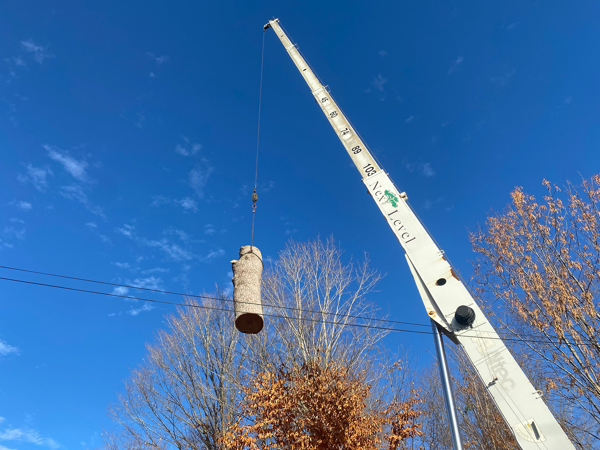Next Level Tree Services Ottawa crane truck tree removal