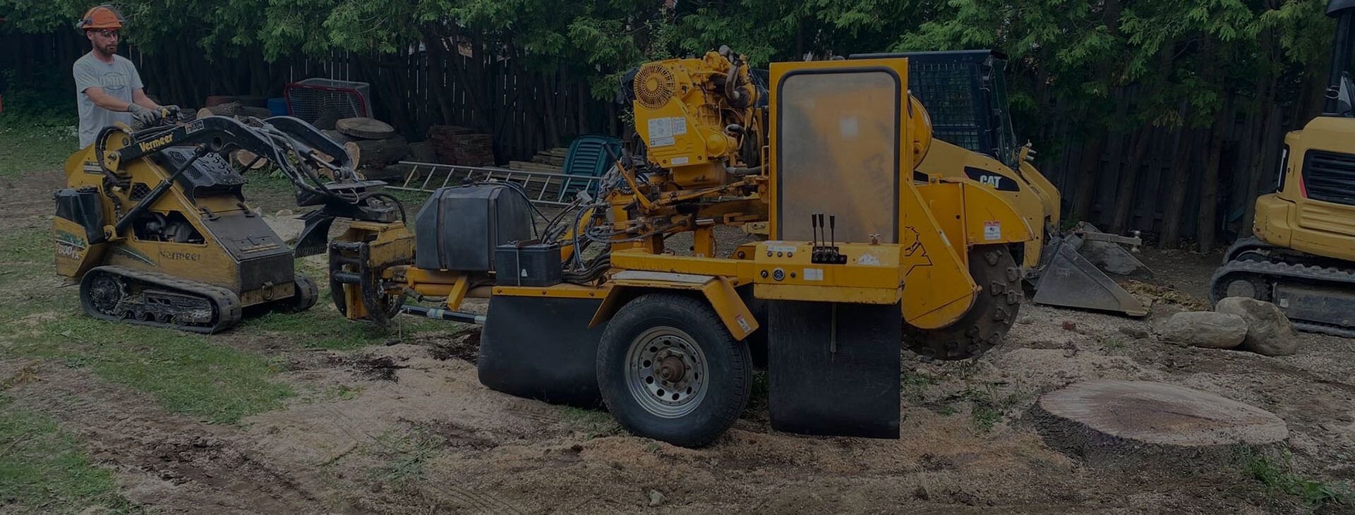 Stump Grinding & Removal